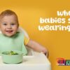 when do babies start wearing bibs